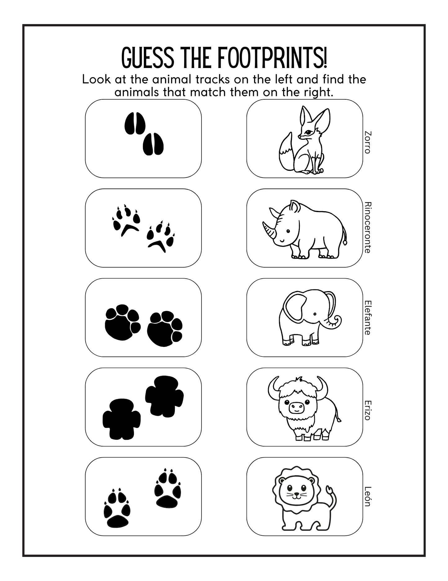 Children's Spanish Jungle Activity Pack - PDF