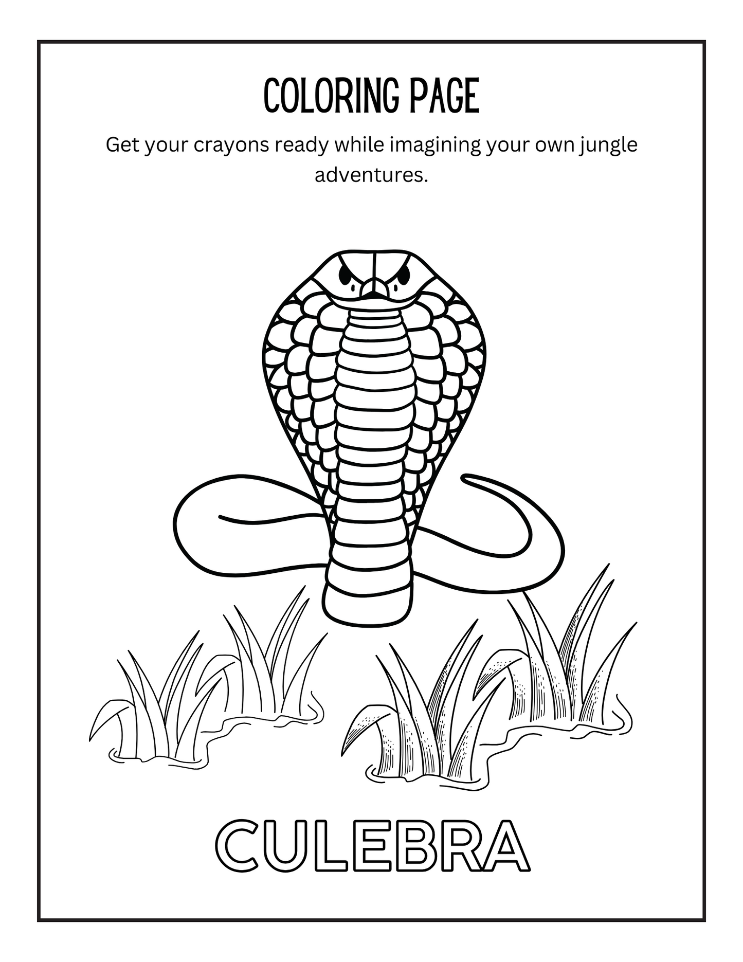 Children's Spanish Jungle Activity Pack - PDF