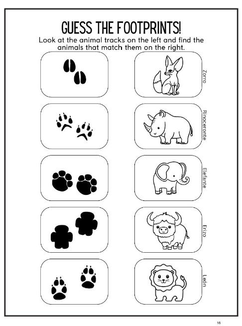 Children's Spanish Jungle Activity Pack - Paperback